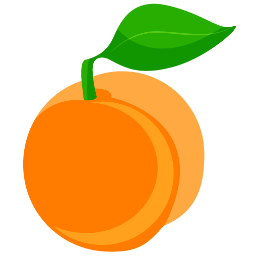 Apricot 杏子 (xìng zi)