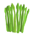asparagus, 芦笋 (lú sǔn)