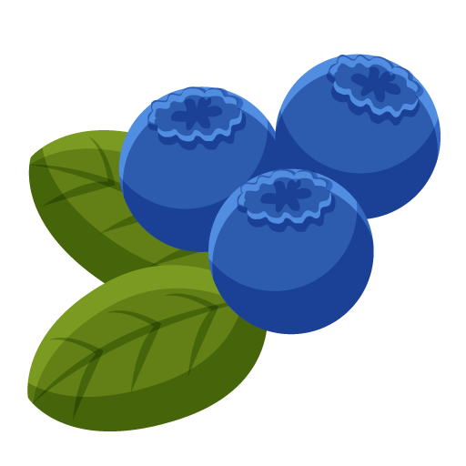 Cherry 樱桃 (yīng táo)