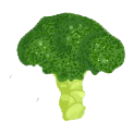 broccoli, 西兰花 (xī lán huā)