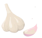 garlic, 蒜 (suàn)