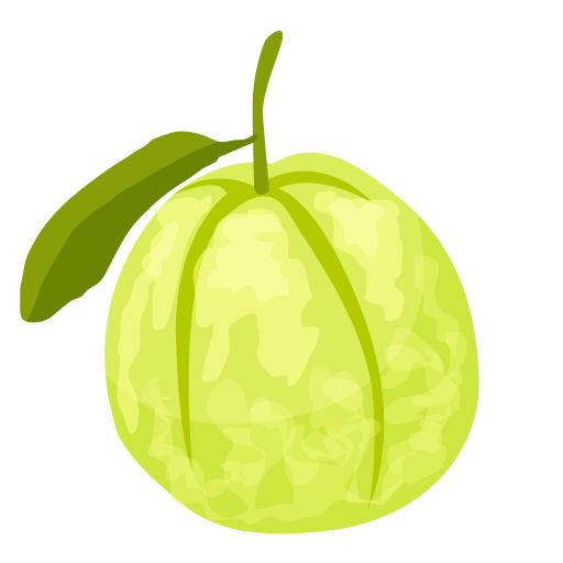 Guava 番石榴 (fān shí liú)