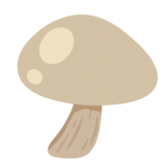 mushroom, 蘑菇 (mó gū)