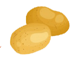 potato, 土豆 (tǔ dòu)